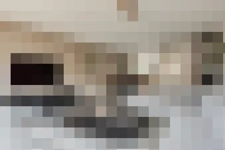 Van Keulendreef 18 Bergschenhoek thumbnail 13