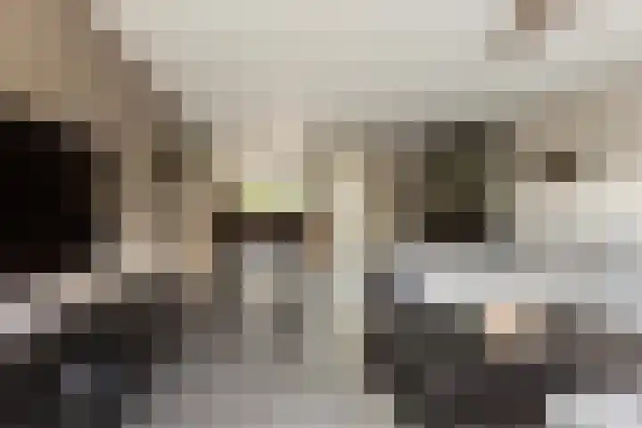 Van Keulendreef 18 Bergschenhoek thumbnail 14