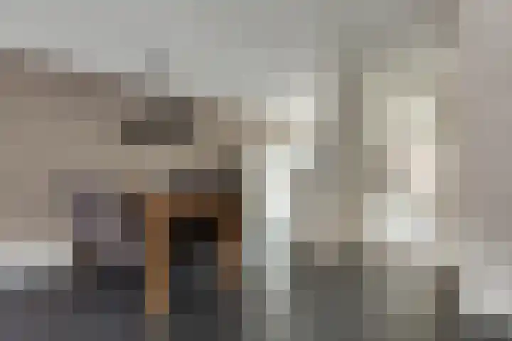 Van Keulendreef 18 Bergschenhoek thumbnail 17