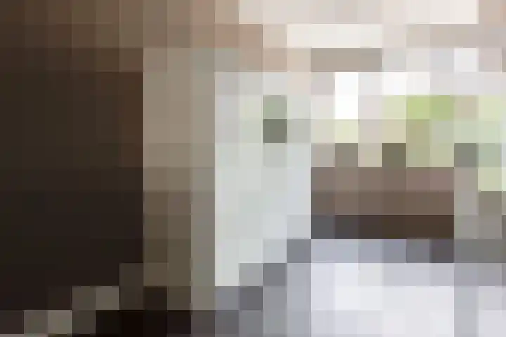 Van Keulendreef 18 Bergschenhoek thumbnail 18