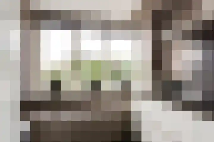 Van Keulendreef 18 Bergschenhoek thumbnail 20