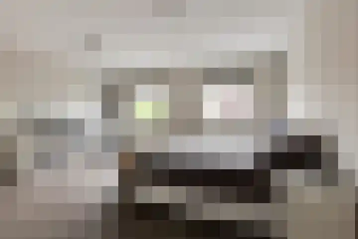 Van Keulendreef 18 Bergschenhoek thumbnail 24