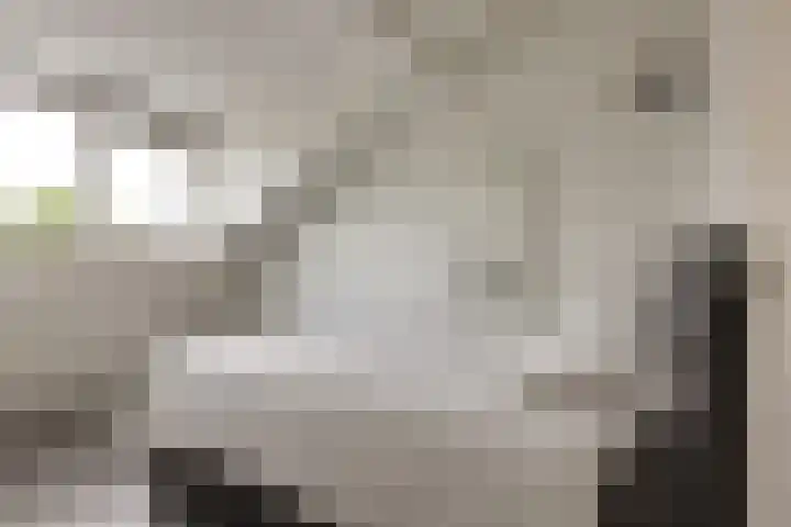Van Keulendreef 18 Bergschenhoek thumbnail 32
