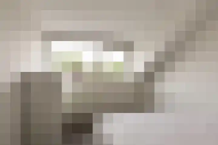 Van Keulendreef 18 Bergschenhoek thumbnail 33