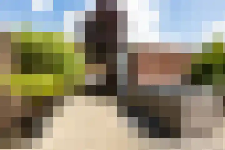 Van Keulendreef 18 Bergschenhoek thumbnail 40