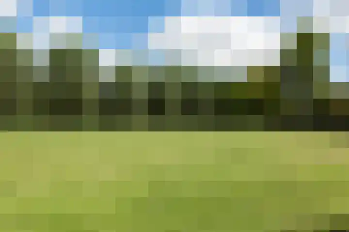Van Keulendreef 18 Bergschenhoek thumbnail 44