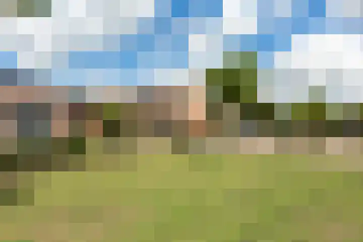 Van Keulendreef 18 Bergschenhoek thumbnail 6