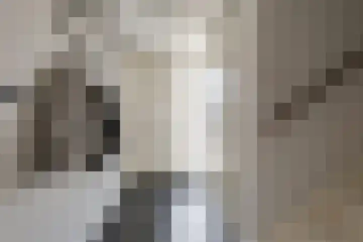 Van Keulendreef 18 Bergschenhoek thumbnail 9