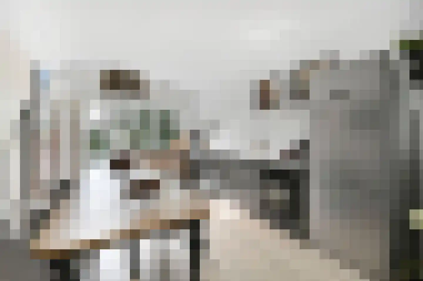 Van Kijfhoeklaan 11 Den Haag thumbnail 14