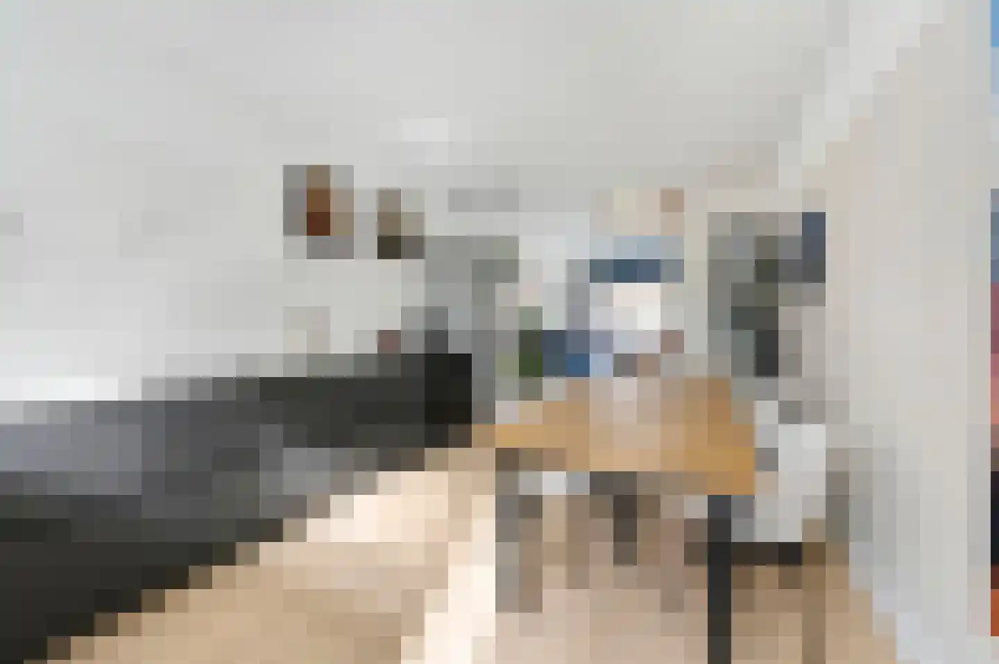 Van Kijfhoeklaan 11 Den Haag thumbnail 16