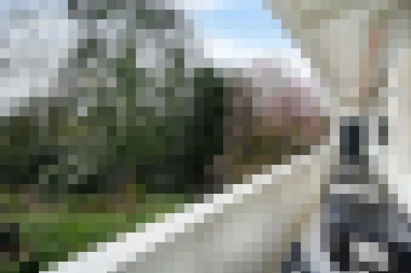 Van Kijfhoeklaan 11 Den Haag thumbnail 17