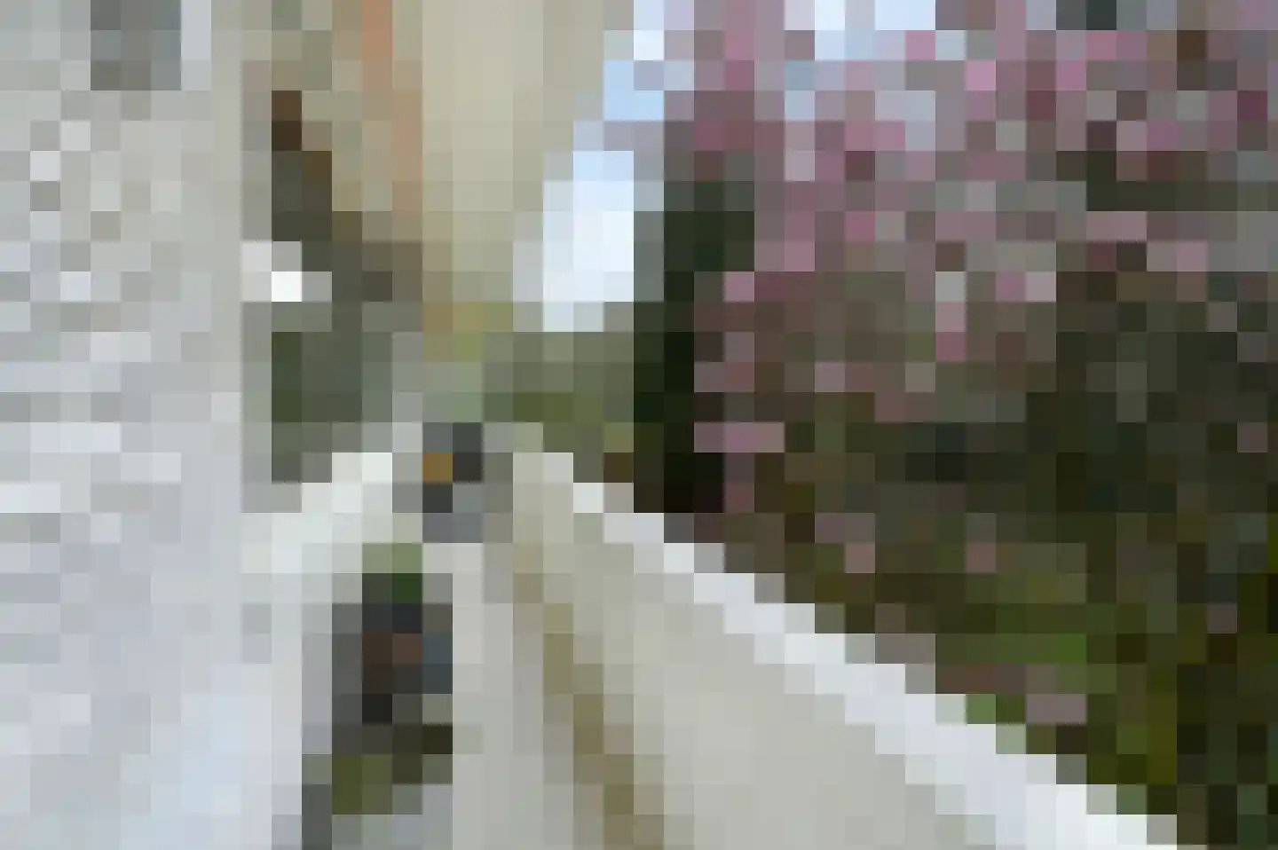 Van Kijfhoeklaan 11 Den Haag thumbnail 18