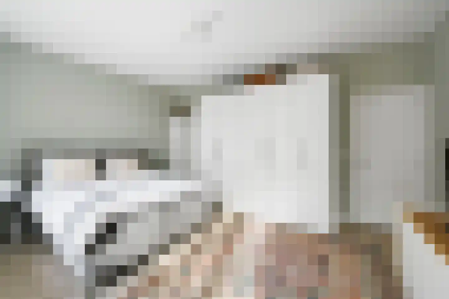 Van Kijfhoeklaan 11 Den Haag thumbnail 20
