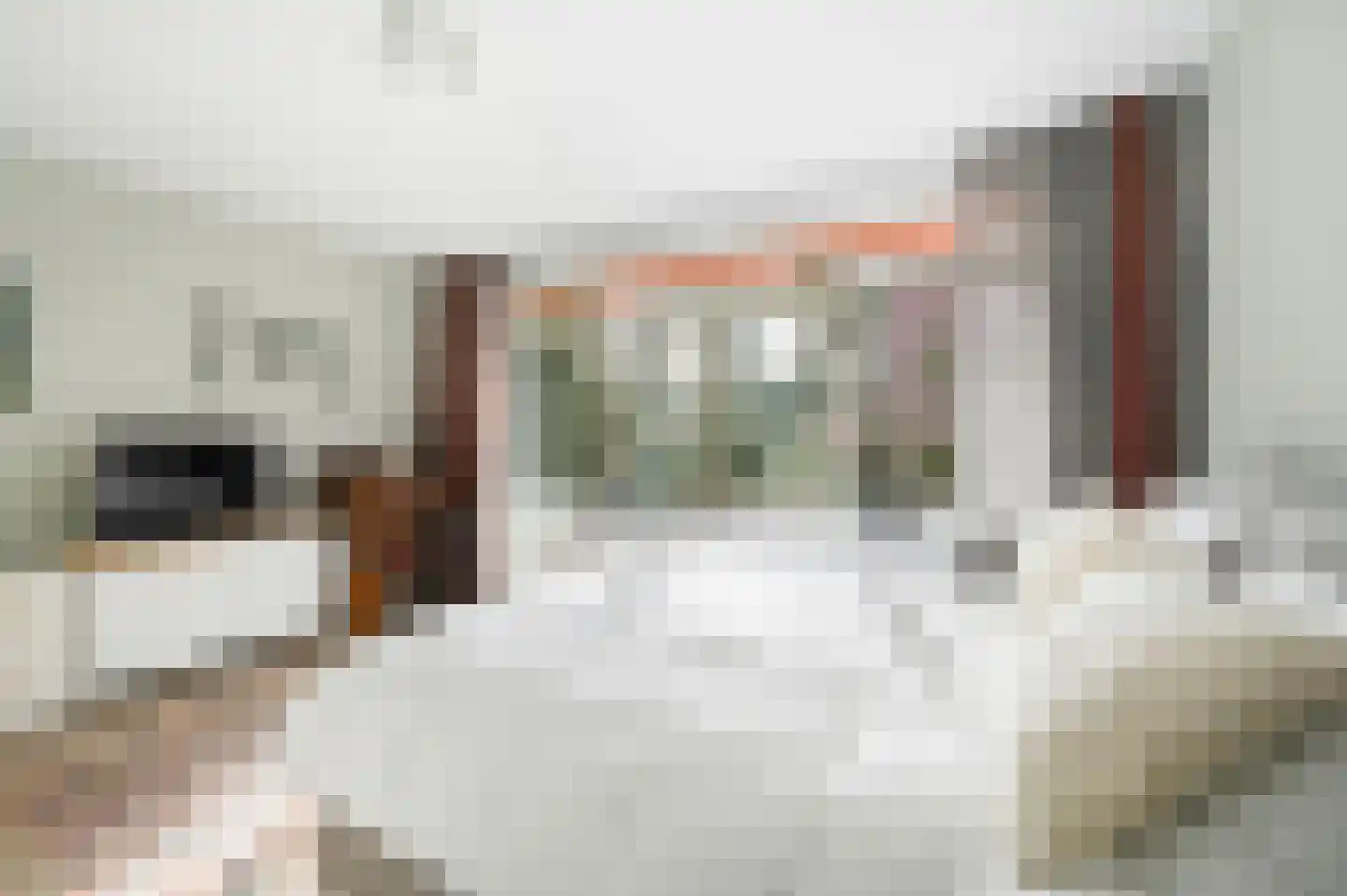 Van Kijfhoeklaan 11 Den Haag thumbnail 21