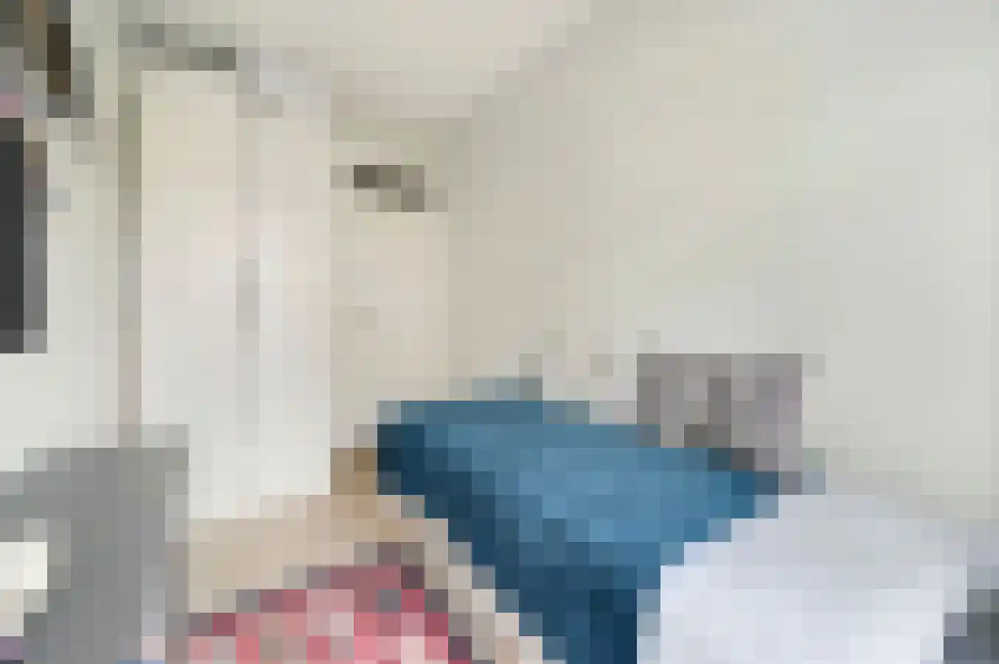 Van Kijfhoeklaan 11 Den Haag thumbnail 27