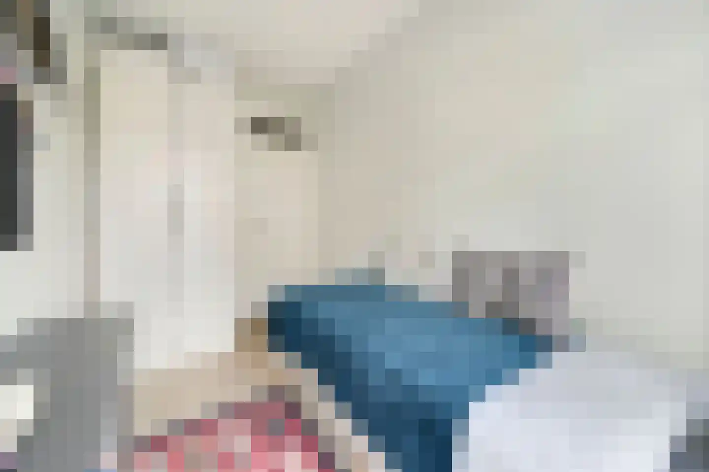 Van Kijfhoeklaan 11 Den Haag thumbnail 27