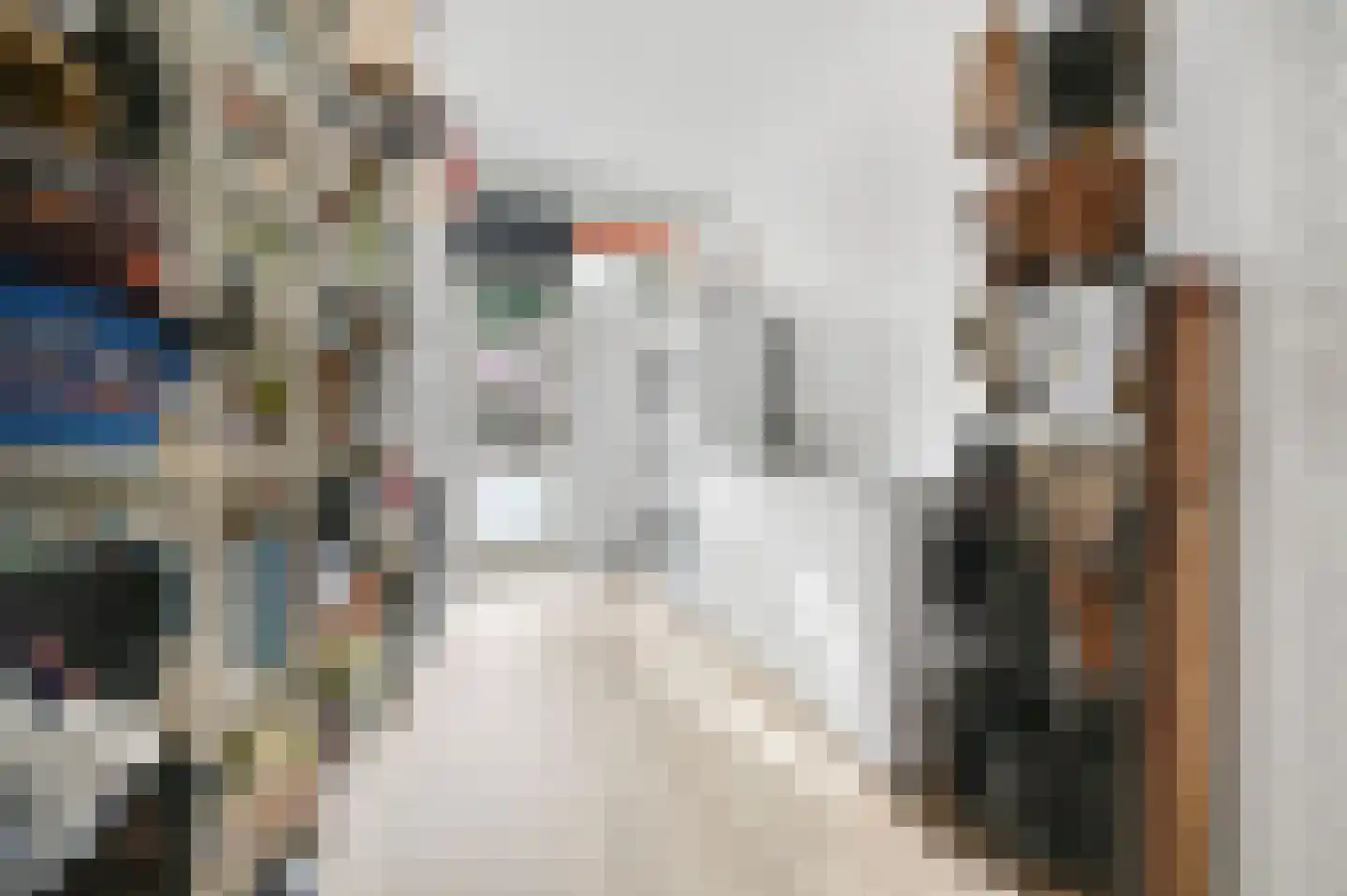 Van Kijfhoeklaan 11 Den Haag thumbnail 28