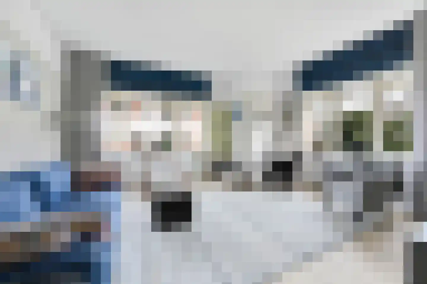 Van Kijfhoeklaan 11 Den Haag thumbnail 8