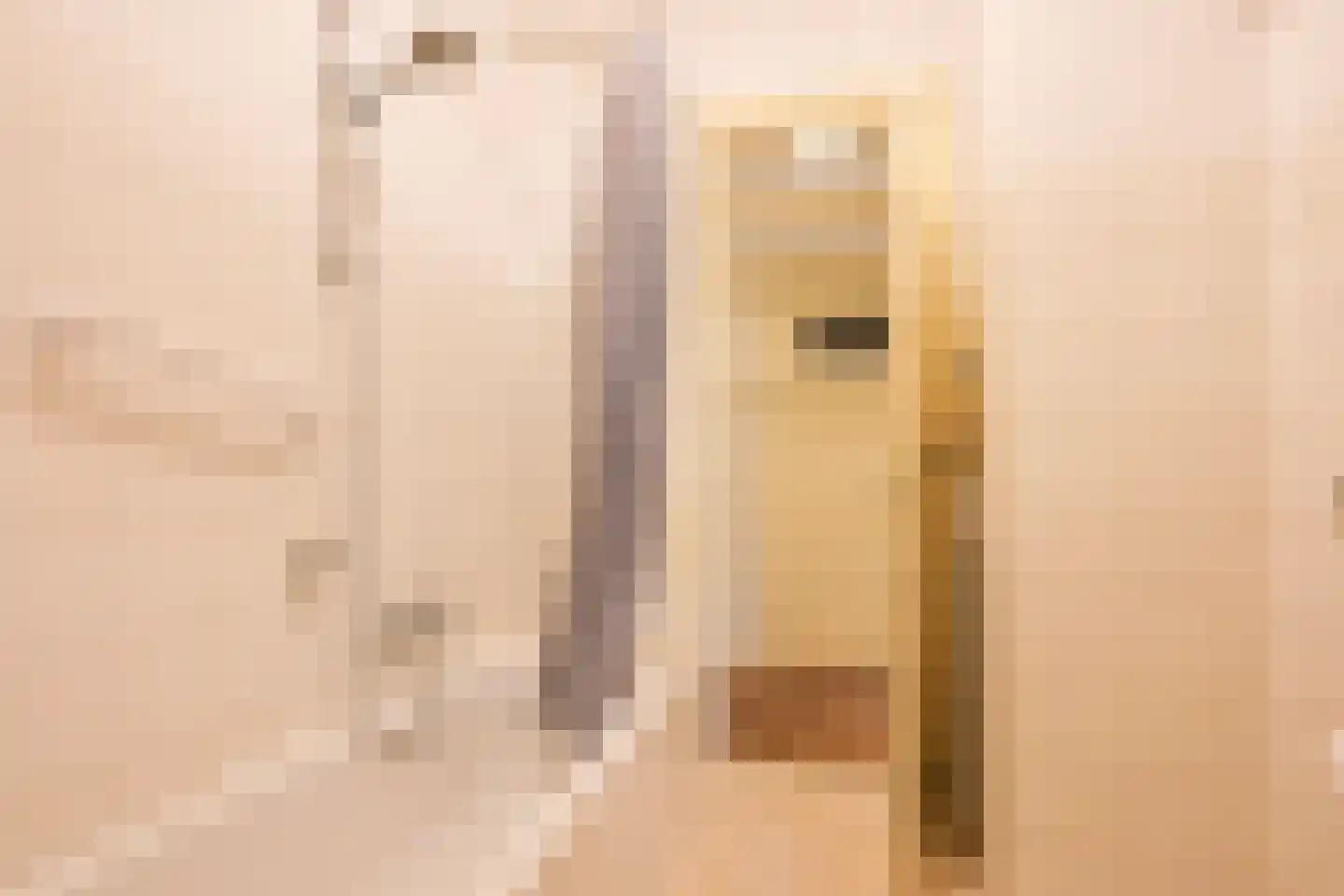 Van Kijfhoeklaan 122 Den Haag thumbnail 25