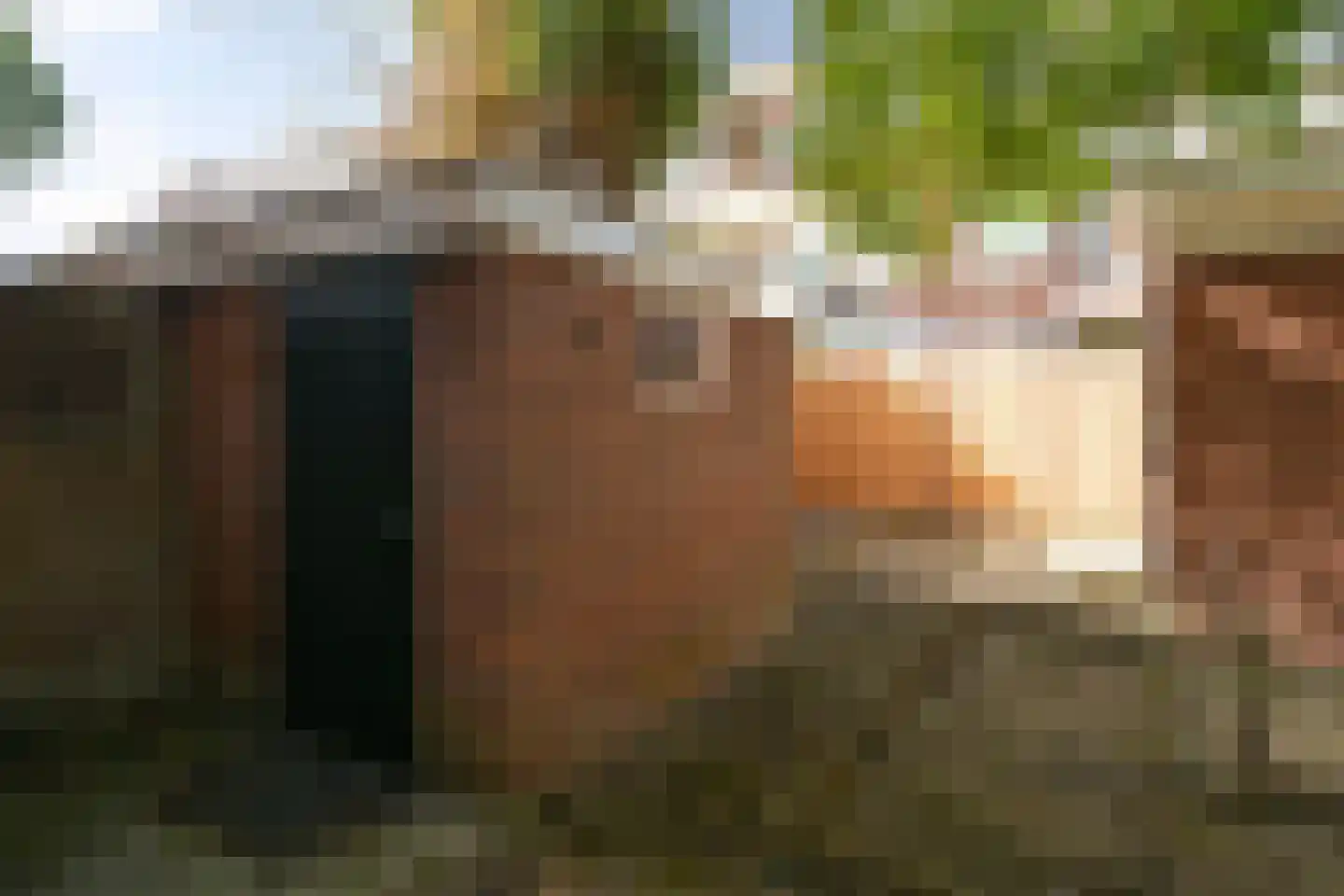 Van Kijfhoeklaan 122 Den Haag thumbnail 31