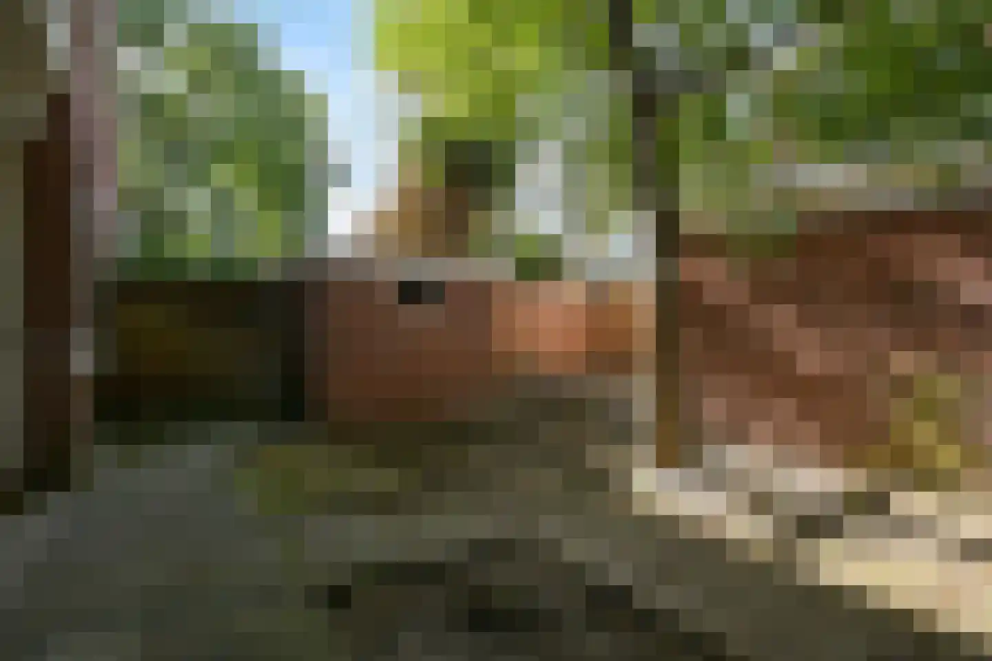 Van Kijfhoeklaan 122 Den Haag thumbnail 33