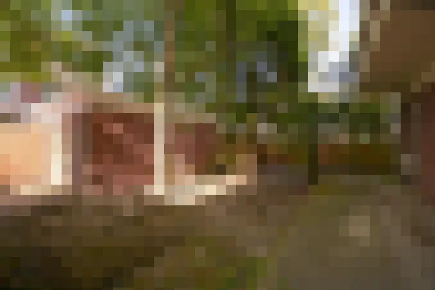 Van Kijfhoeklaan 122 Den Haag thumbnail 34