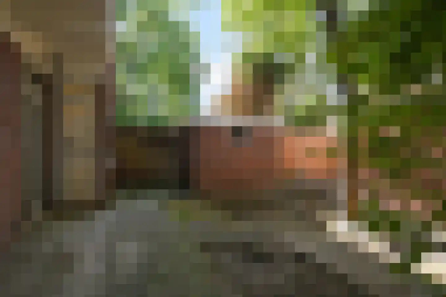 Van Kijfhoeklaan 122 Den Haag thumbnail 35