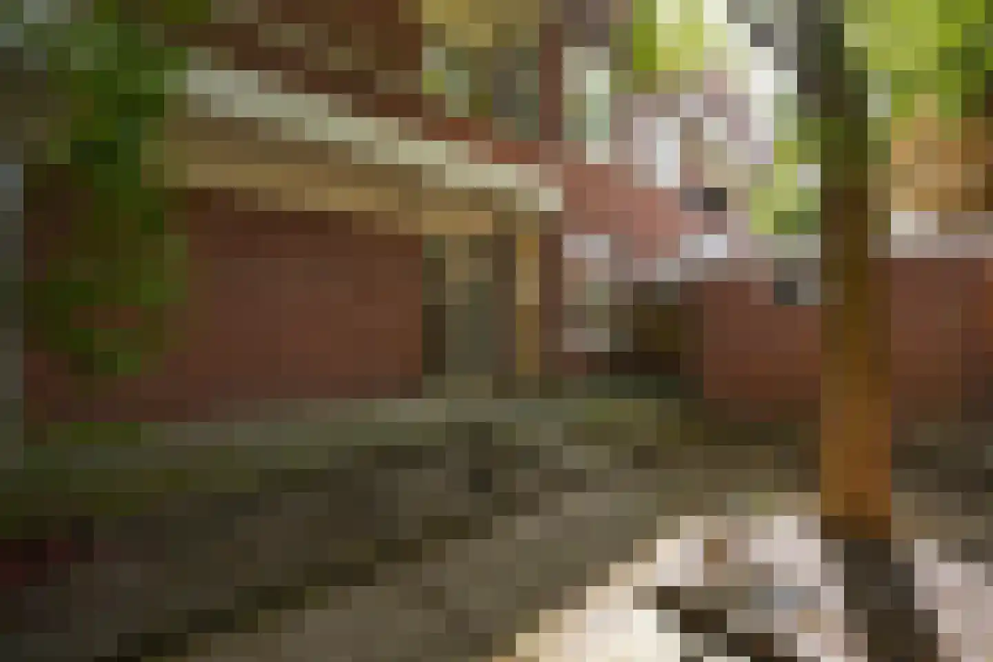 Van Kijfhoeklaan 122 Den Haag thumbnail 37