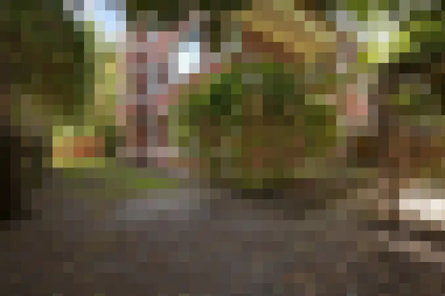 Van Kijfhoeklaan 122 Den Haag thumbnail 38