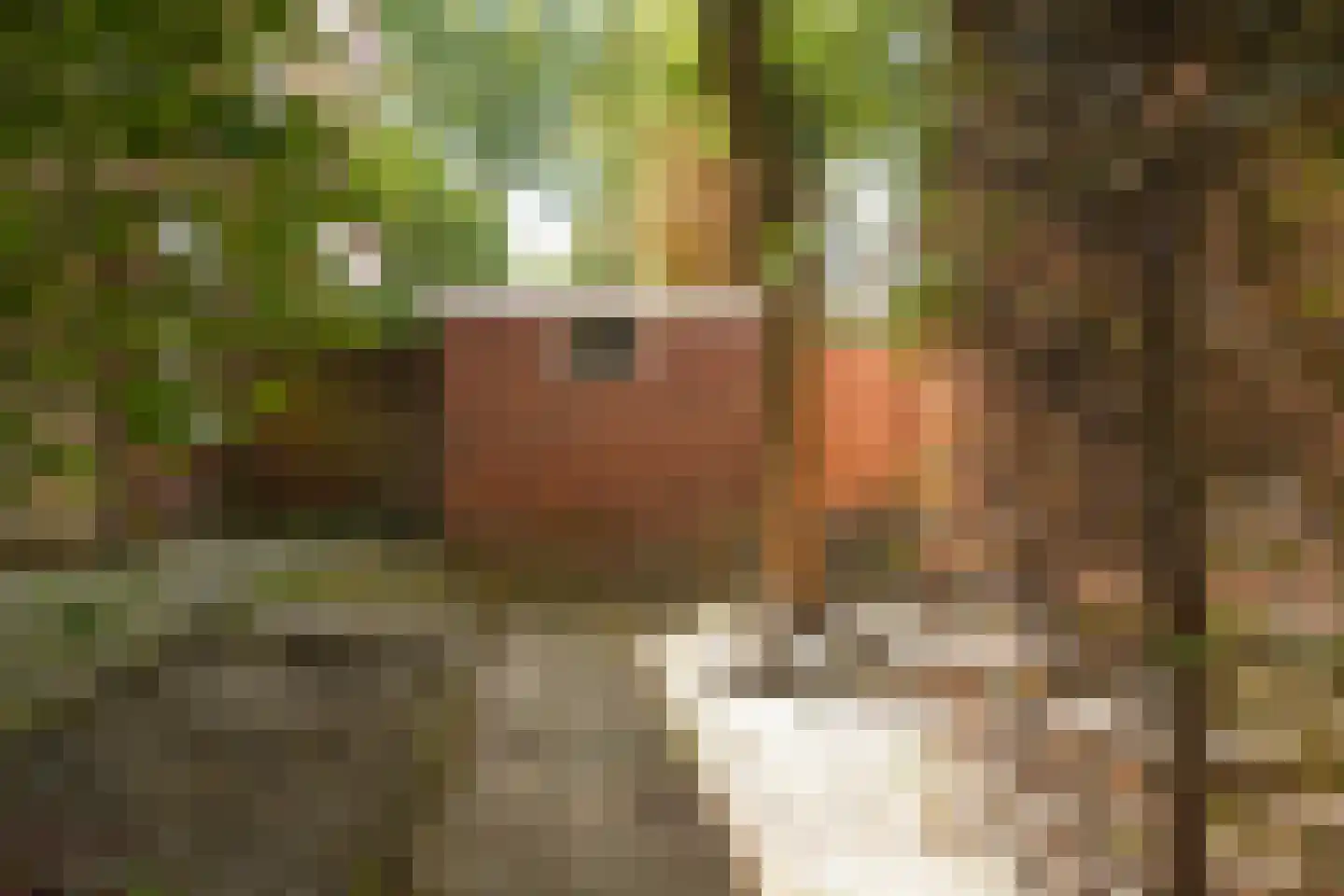 Van Kijfhoeklaan 122 Den Haag thumbnail 39