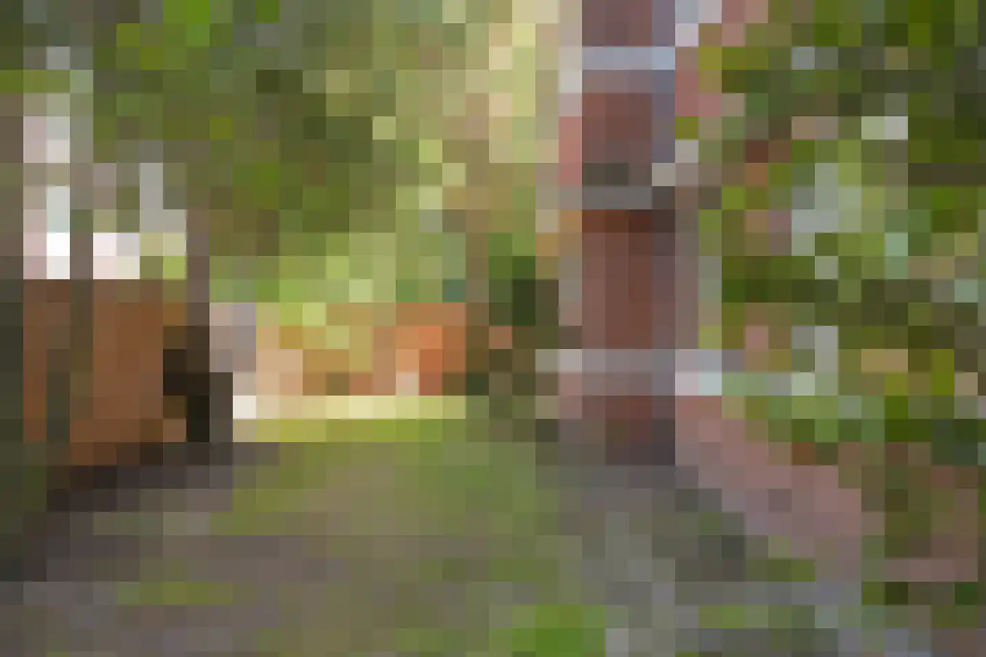Van Kijfhoeklaan 122 Den Haag thumbnail 40