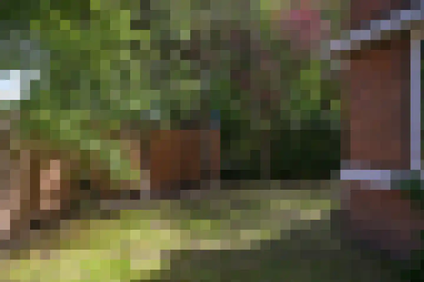 Van Kijfhoeklaan 122 Den Haag thumbnail 41