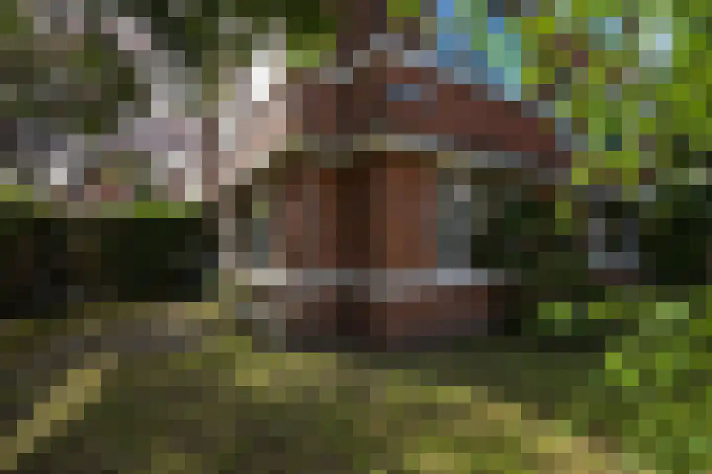 Van Kijfhoeklaan 122 Den Haag thumbnail 42
