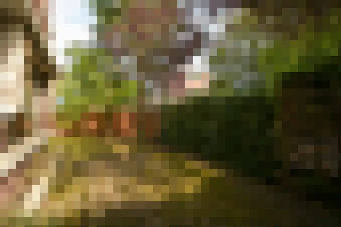 Van Kijfhoeklaan 122 Den Haag thumbnail 44