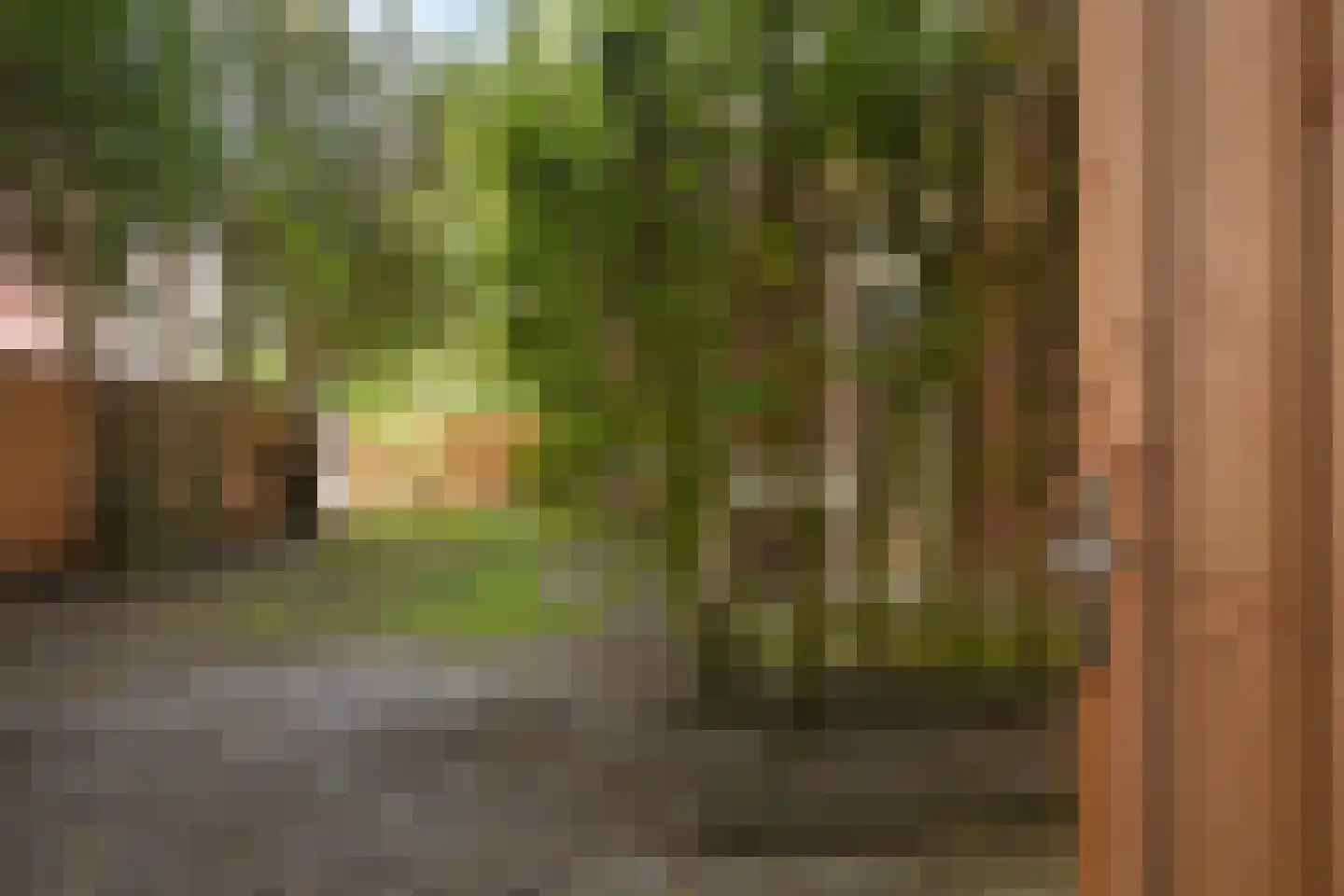 Van Kijfhoeklaan 122 Den Haag thumbnail 45