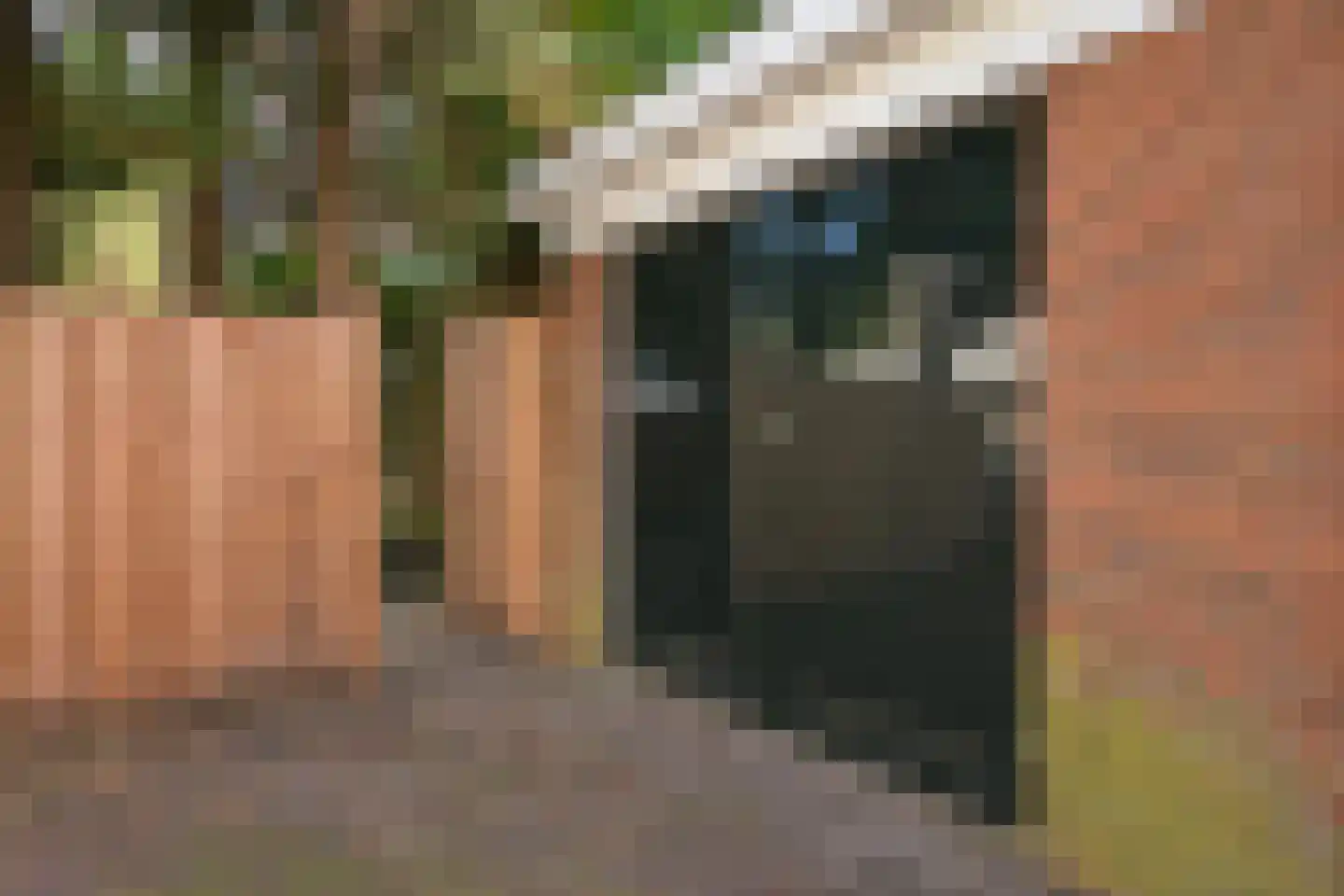 Van Kijfhoeklaan 122 Den Haag thumbnail 46