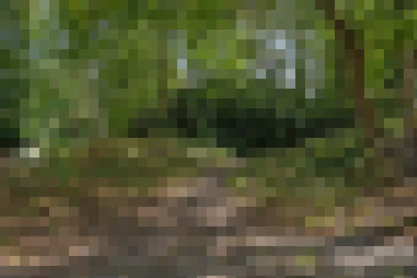 Van Kijfhoeklaan 122 Den Haag thumbnail 52