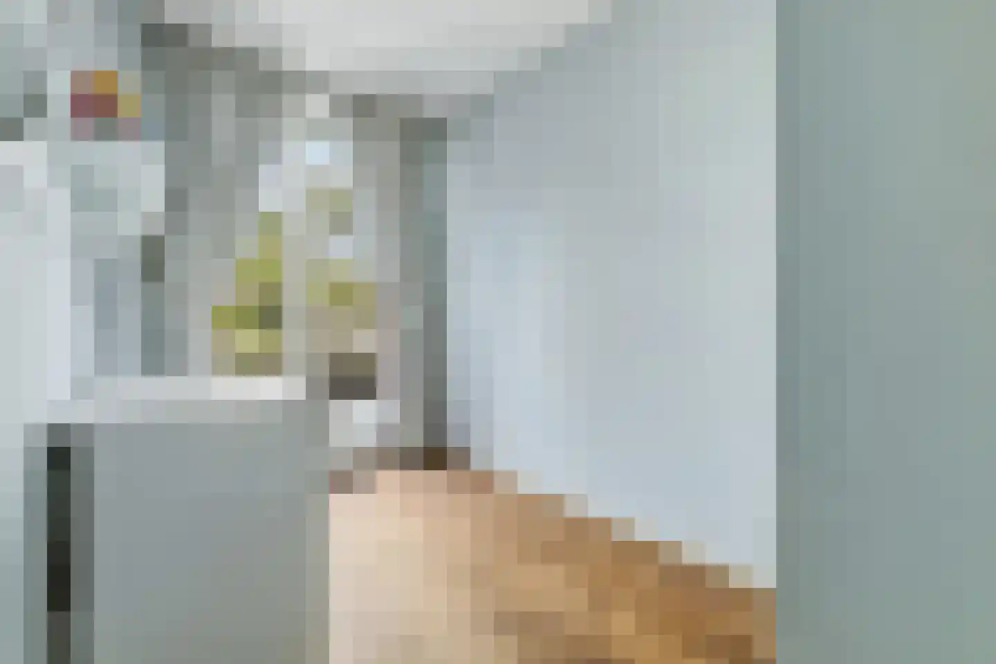 Van Kijfhoeklaan 130 Den Haag thumbnail 24