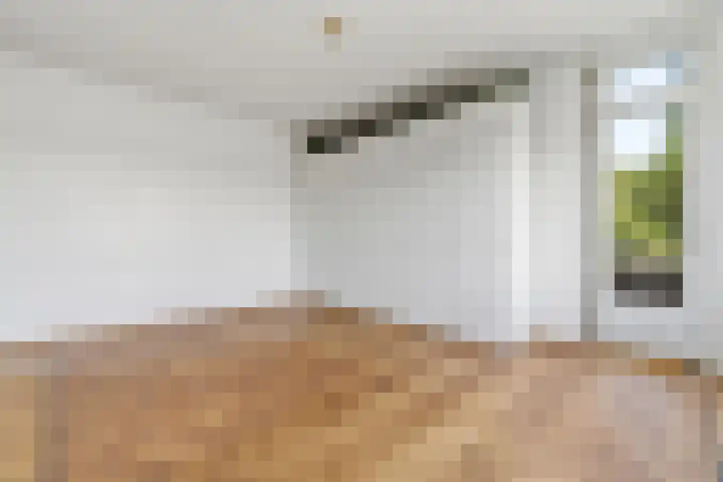 Van Kijfhoeklaan 130 Den Haag thumbnail 32