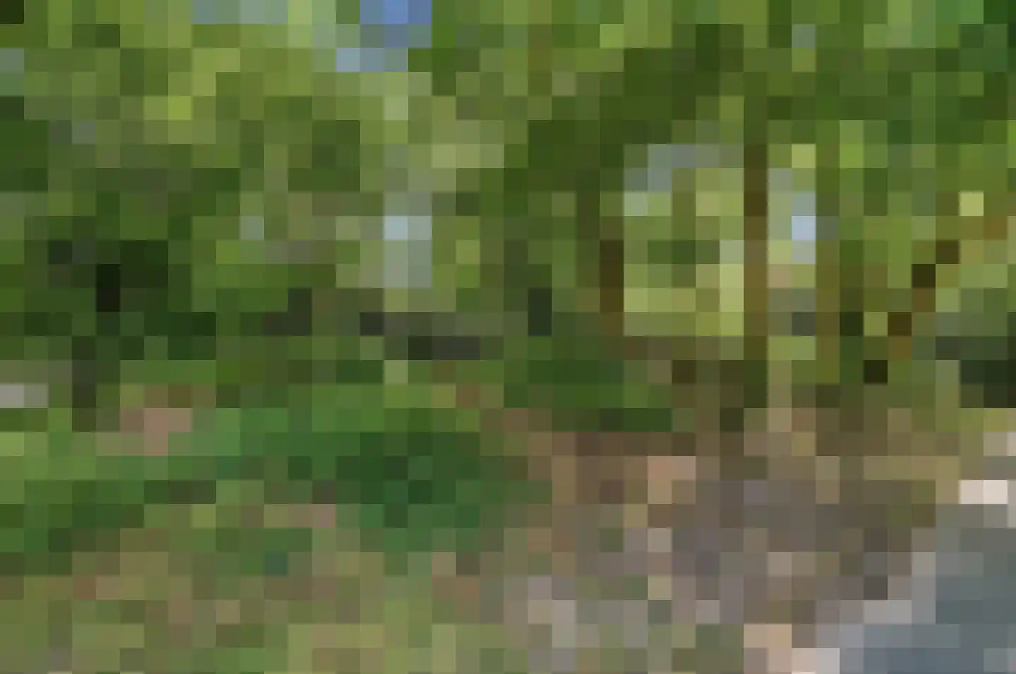 Van Kijfhoeklaan 130 Den Haag thumbnail 42