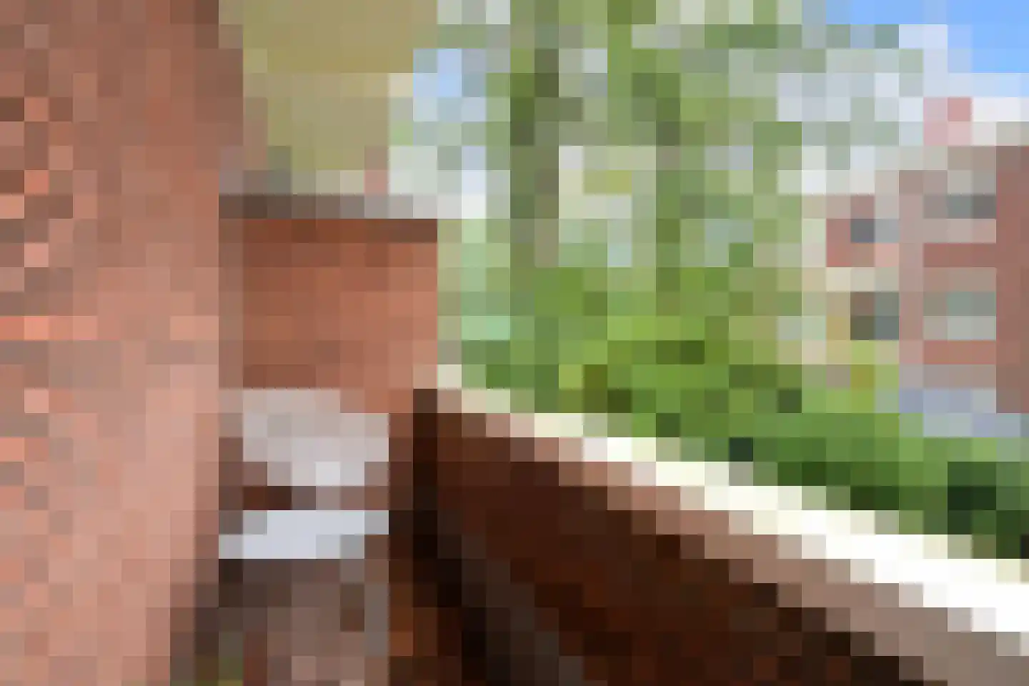 Van Kijfhoeklaan 24 Den Haag thumbnail 18