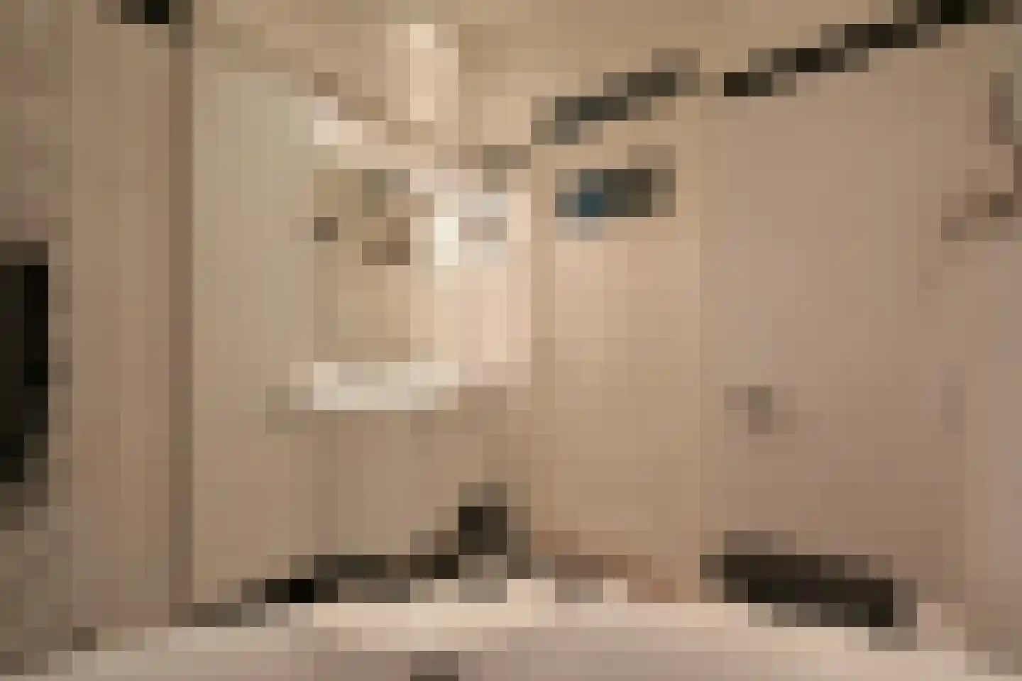 Van Kijfhoeklaan 24 Den Haag thumbnail 20