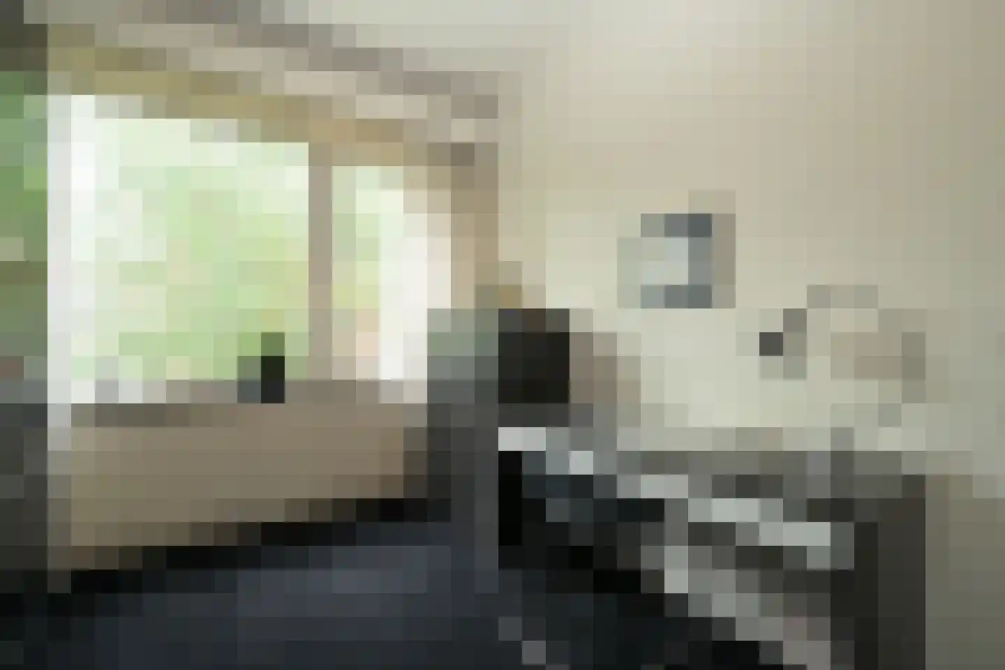 Van Kijfhoeklaan 24 Den Haag thumbnail 22
