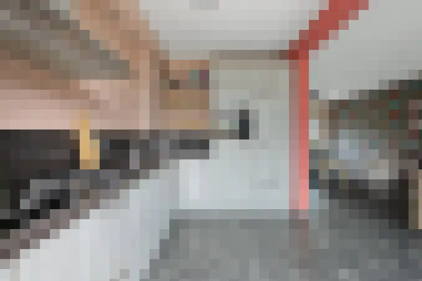 van Kinsbergenlaan 53 Terneuzen thumbnail 8