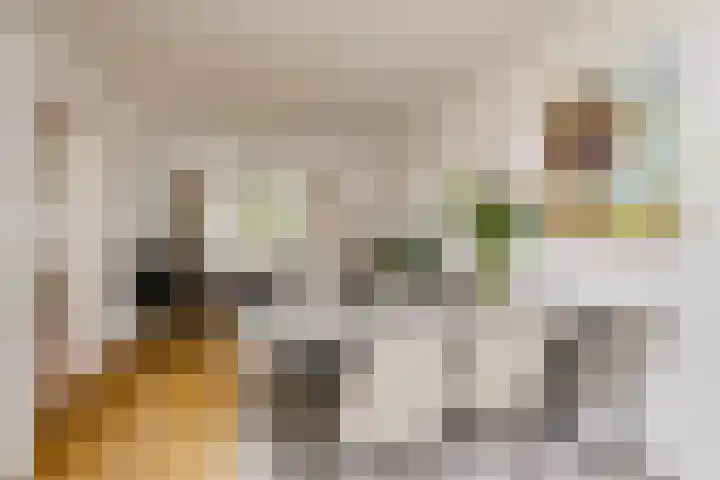 Van Kinsbergenplein 45 Haarlem thumbnail 16