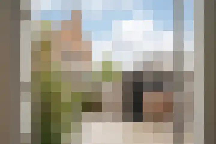 Van Kinsbergenplein 45 Haarlem thumbnail 22
