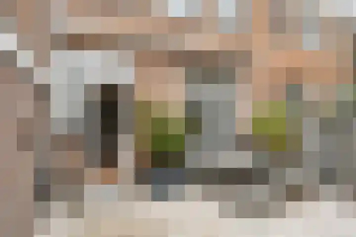 Van Kinsbergenplein 45 Haarlem thumbnail 23