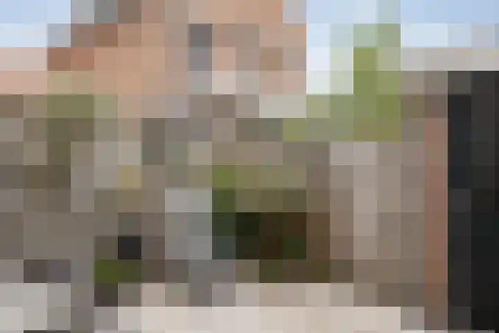 Van Kinsbergenplein 45 Haarlem thumbnail 25