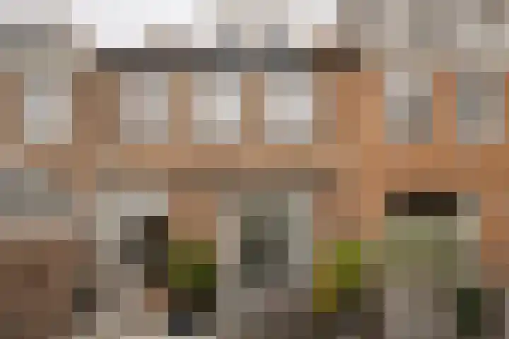 Van Kinsbergenplein 45 Haarlem thumbnail 30