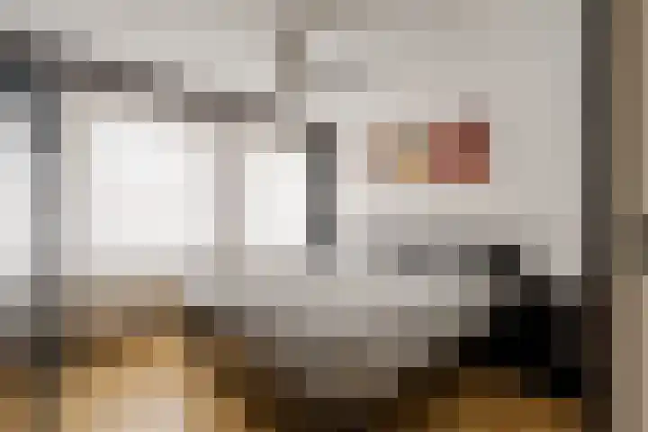 Van Kinsbergenplein 45 Haarlem thumbnail 34